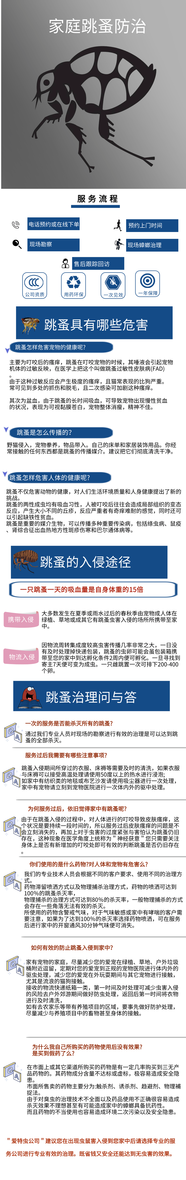 上门除跳蚤.png